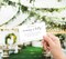 How Big is Mommy's Belly Game, Baby Shower Games, Baby Shower Decorations, Baby Shower Signs, Gender Reveal Decorations, 1 Wooden Play Sign with Stand and 50 Cards Set